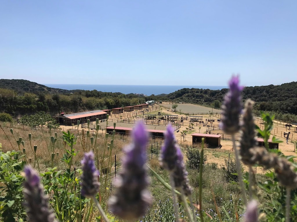 Club Hipic Canet de Mar