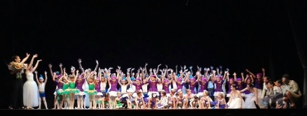 Ballet Silvia Pallisera