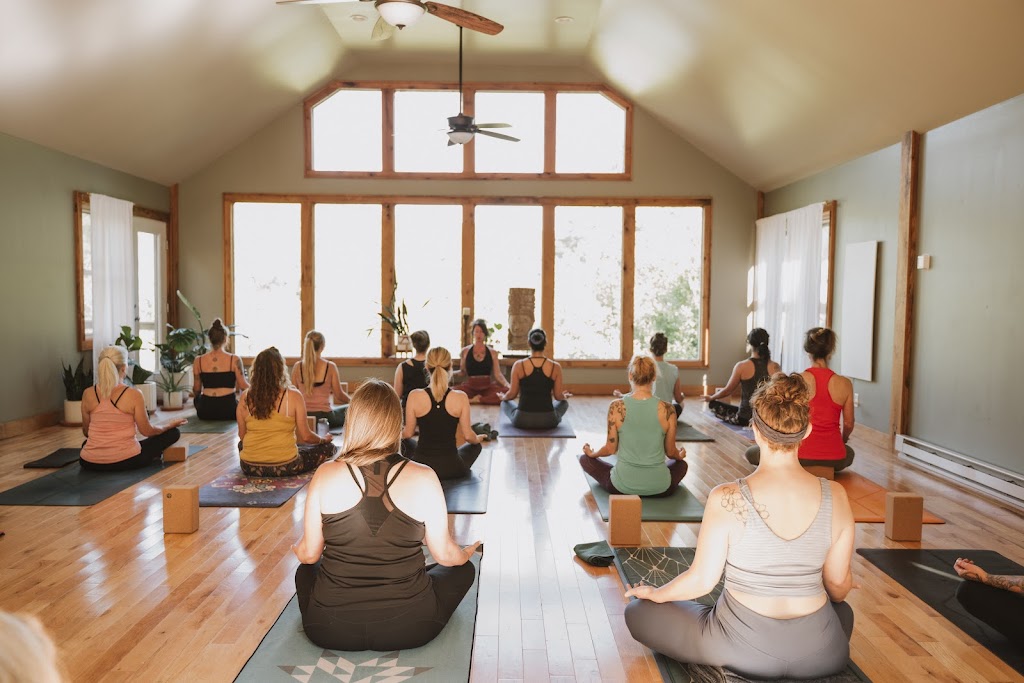  Wild Lotus Yoga Collective