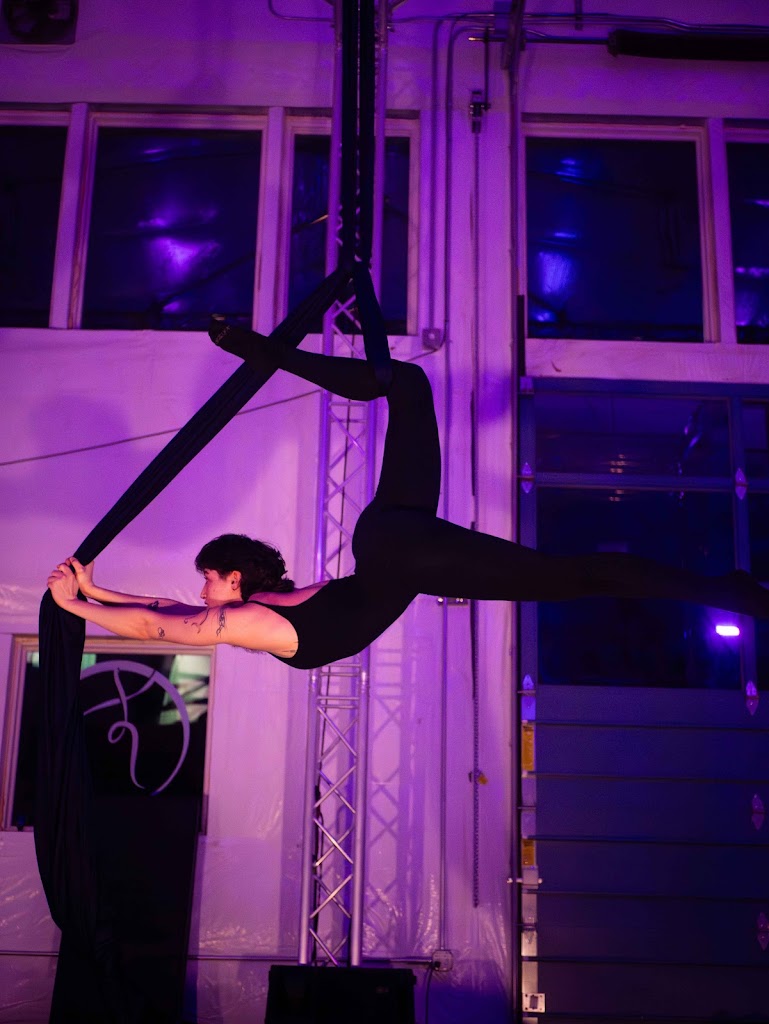  Bellingham Aerial and Dance