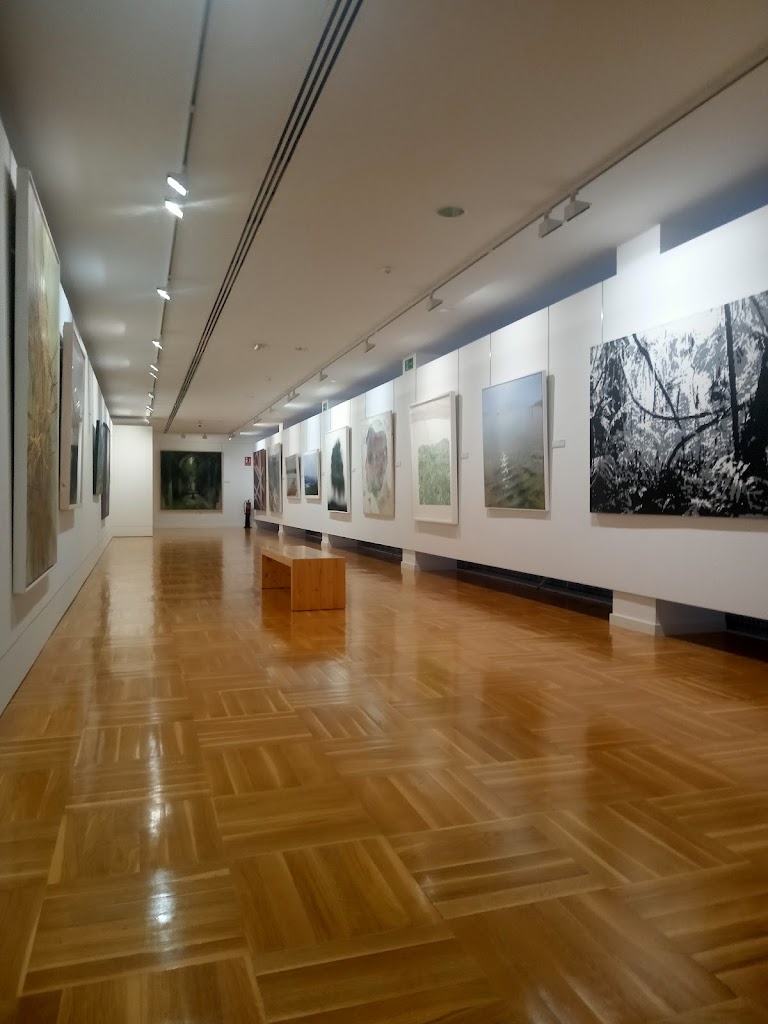 Museo de Arte Contemporaneo Infanta Elena