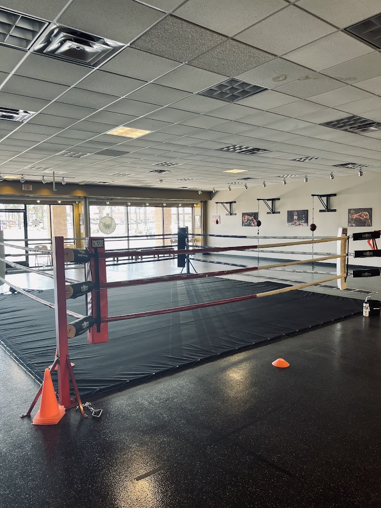  Sweet Science Boxing 520