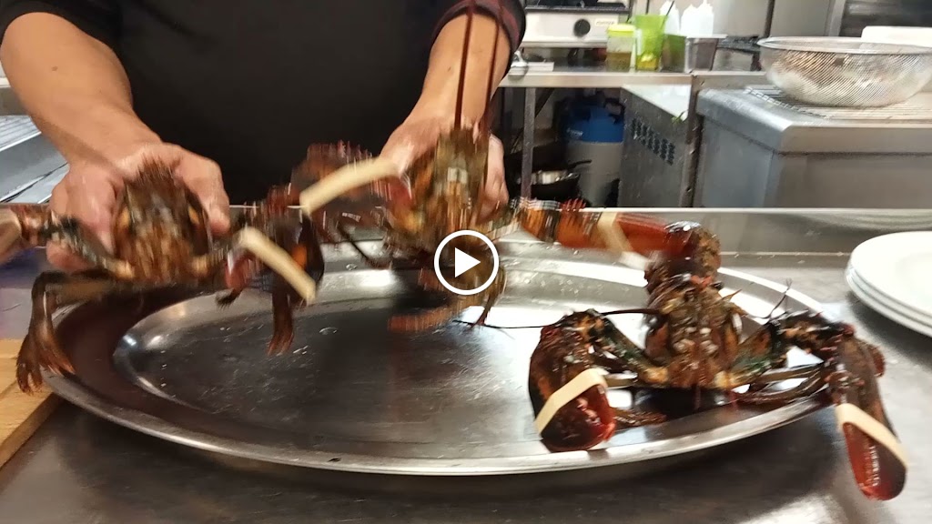 El pescaito 2 — Videos