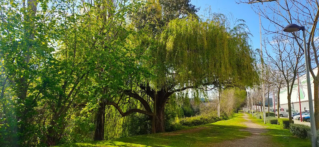 [P] Parking Megapark