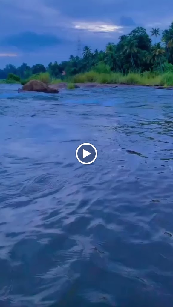 Videos
