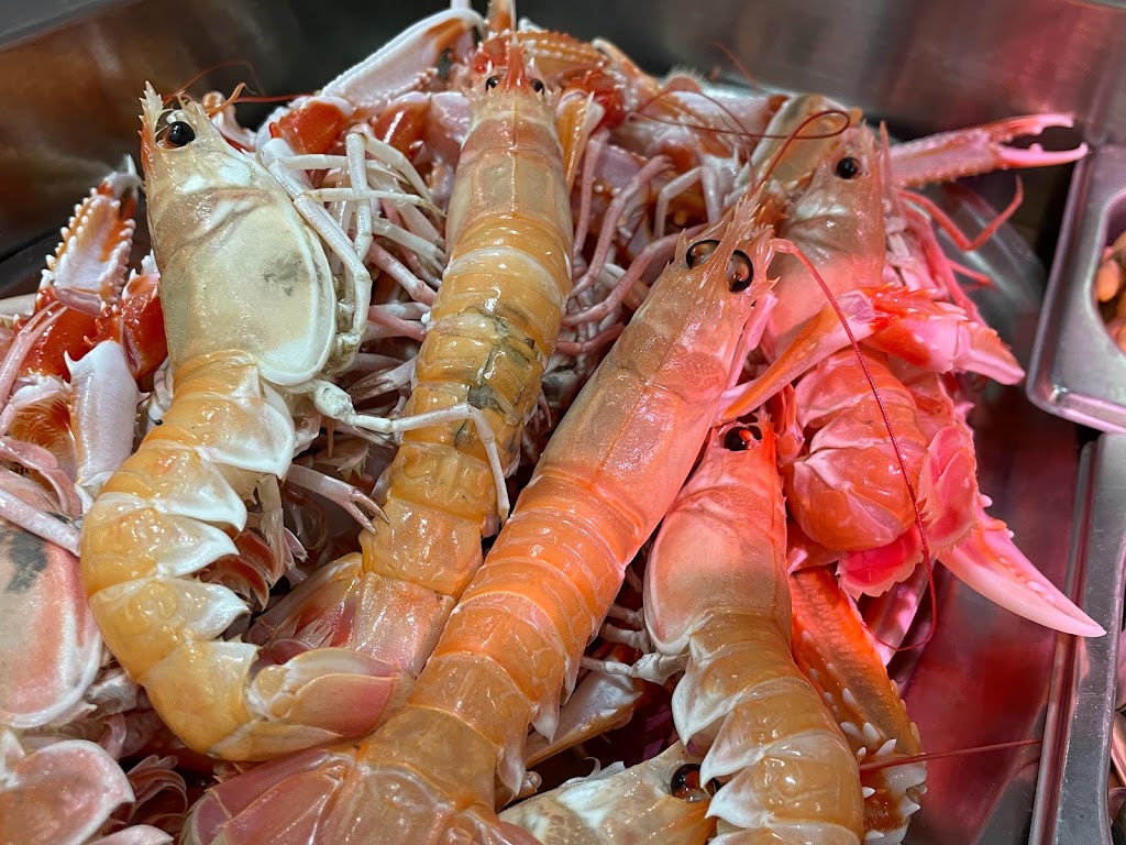 BONATAPA — Scampi