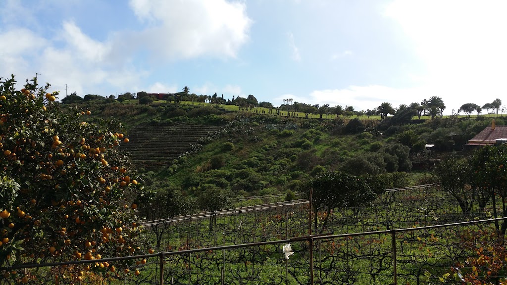 Finca Volcan Vina Vandama