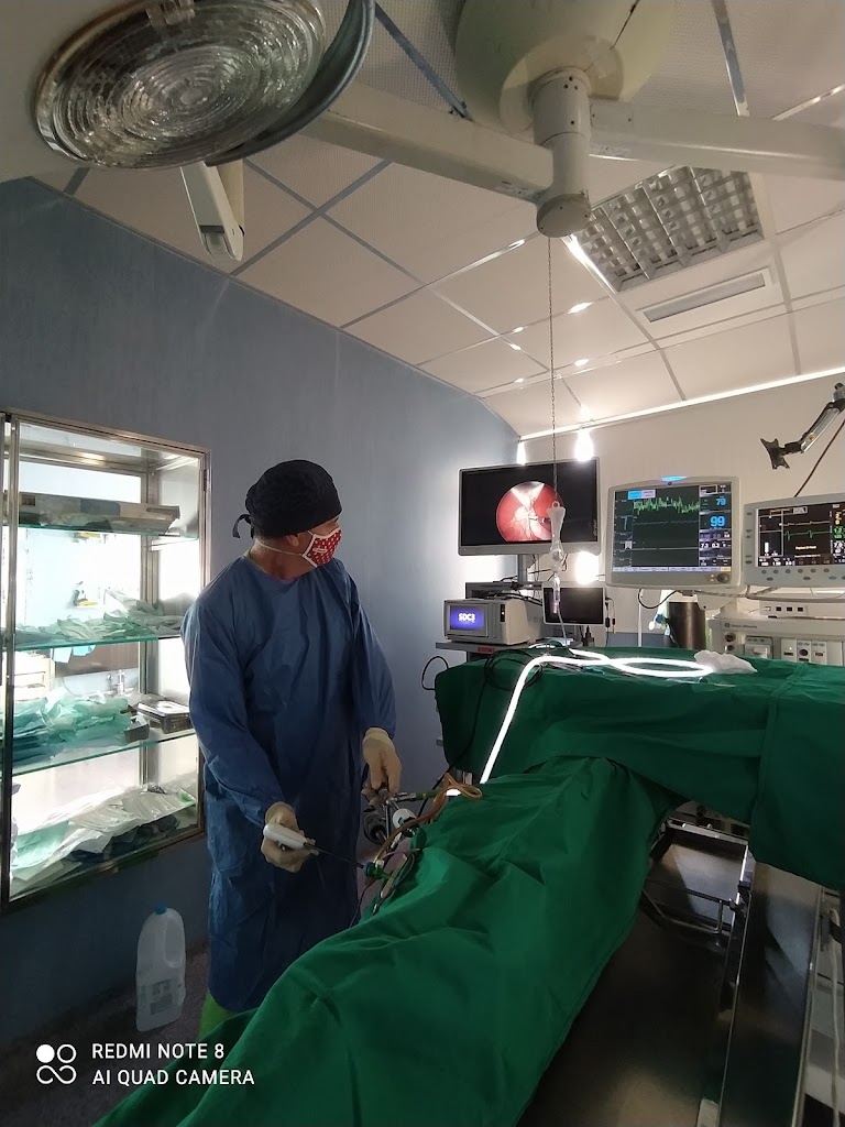 Centro Veterinario Santa Ana-Chiclana de la frontera — Del propietario