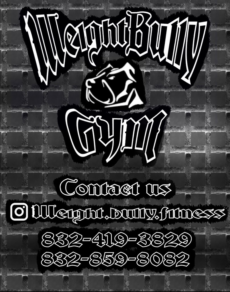  Weight Bully Gym