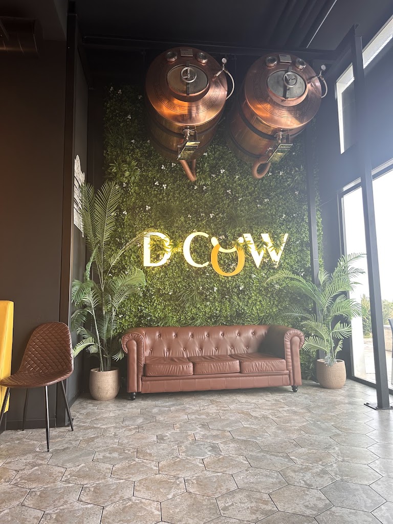 D-COW Gandia — Mas recientes