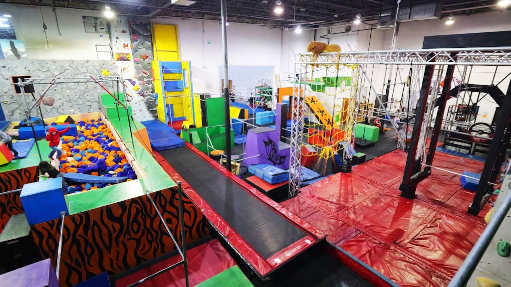  The Jungle Movement Academy