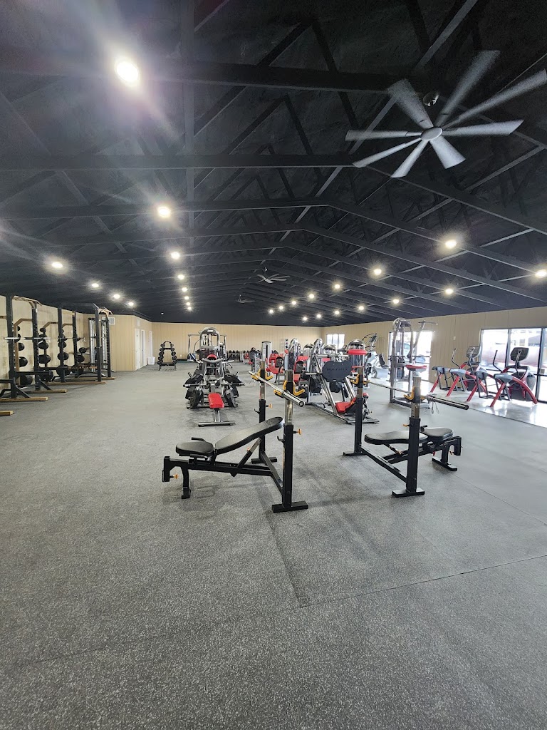  Apex Fitness Club