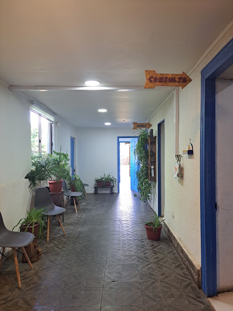 Clínica veterinaria Baez en San Javier de Loncomilla