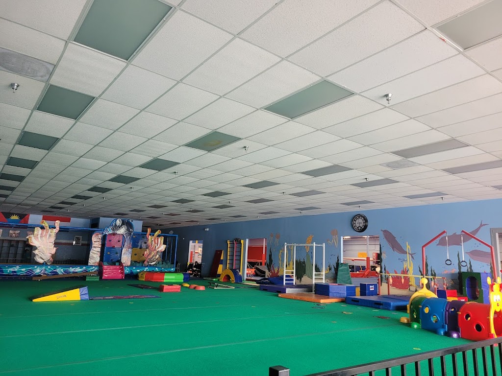  Realis Gymnastics Academy