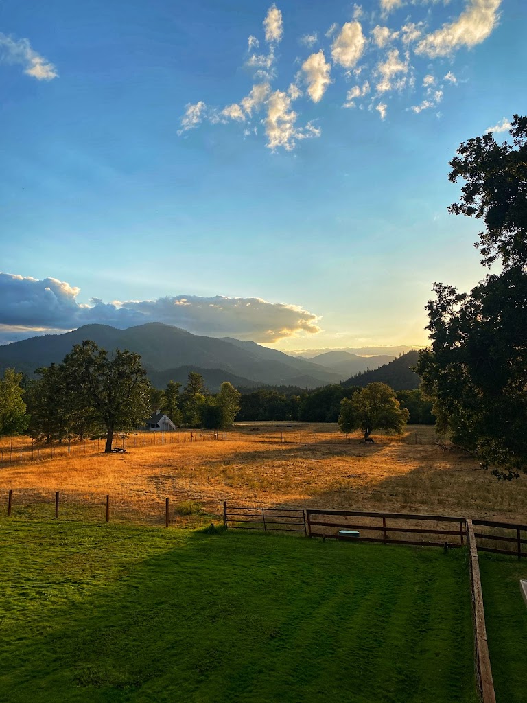 Wanderlust Vineyard