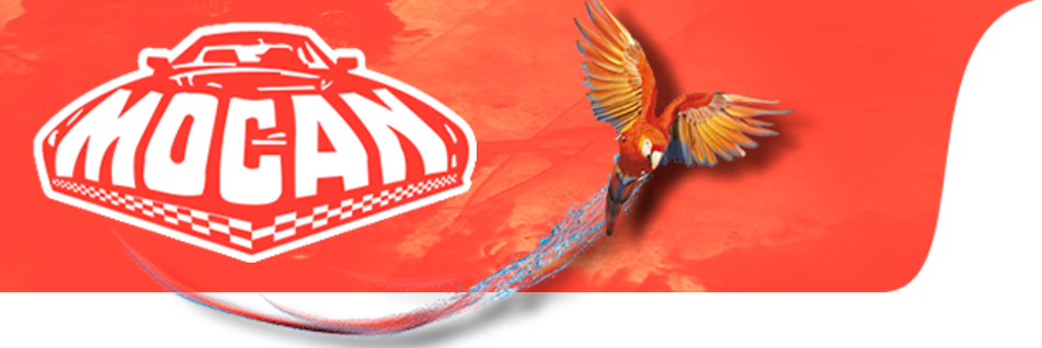 Pinturas Mocan S.L.U - La Palma