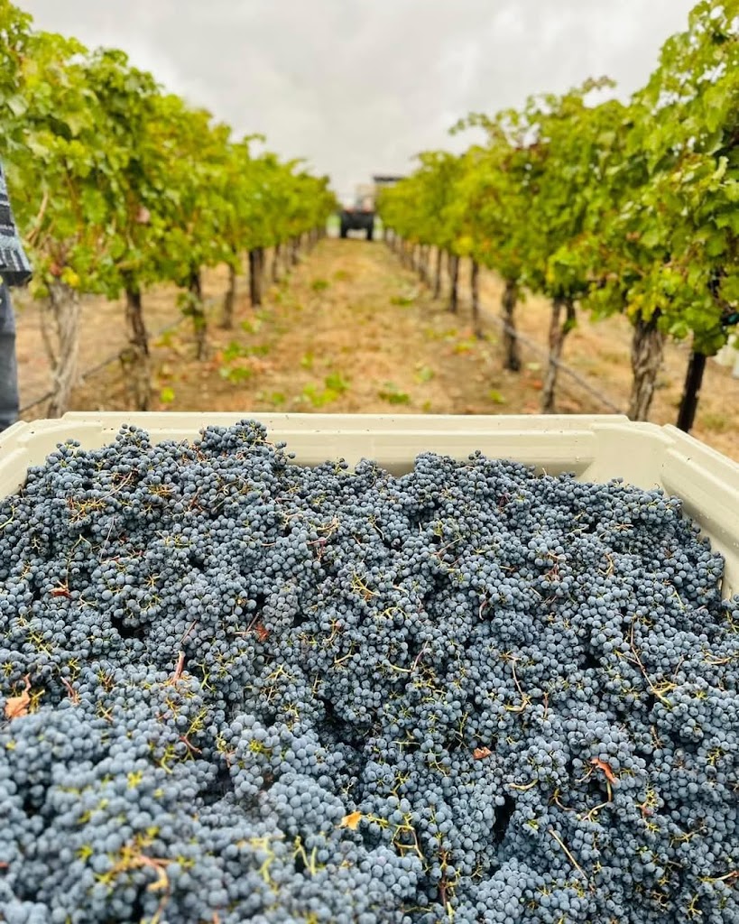 Vanarnam Vineyards