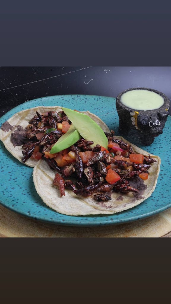 Chapulines