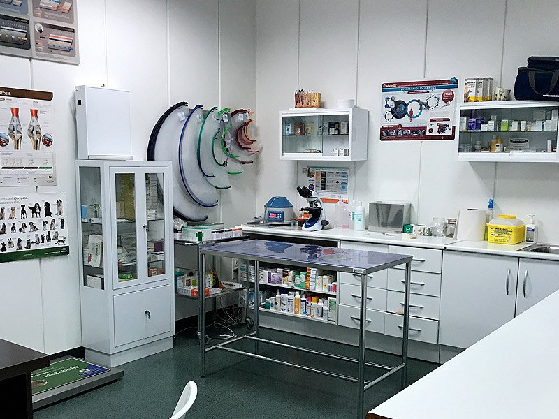 Clinica Veterinaria Ciudad Quesada Veterpet — Del propietario