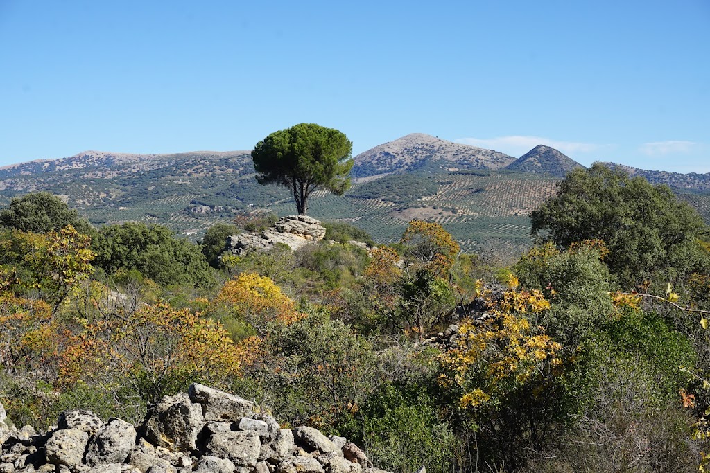 Ruta de los Zumaques