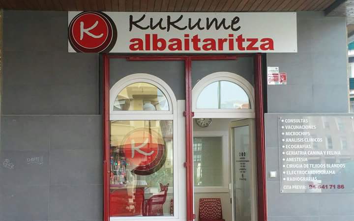 CENTRO VETERINARIO KUKUME ALBAITARITZA-ALGORTA — Del propietario