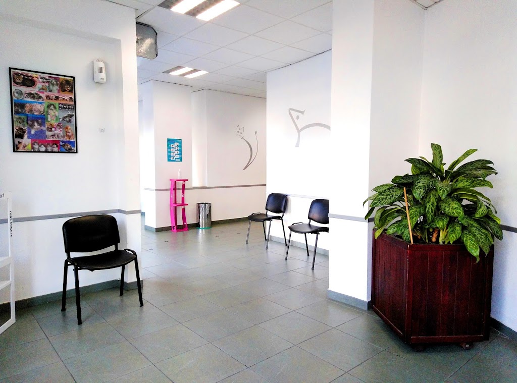 Centro Veterinario Insular — Del propietario