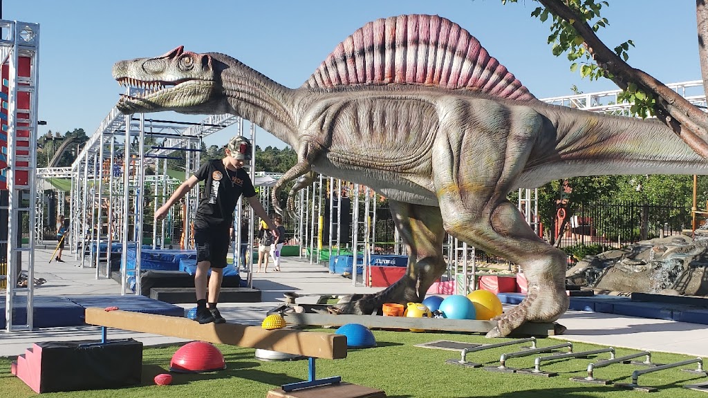  Lost Island Warrior Gym