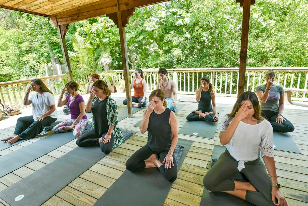  Vyana Yoga & PolariTea