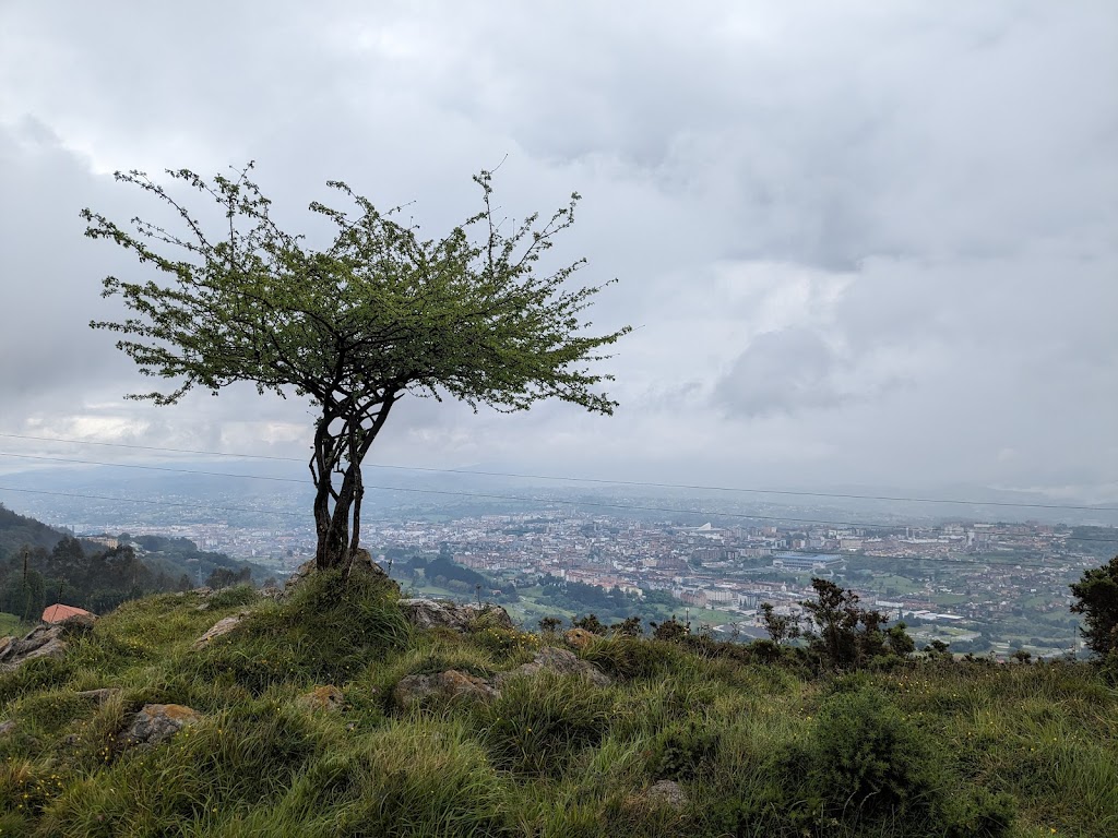 Pico Canto de las Caleyinas (577 m.)