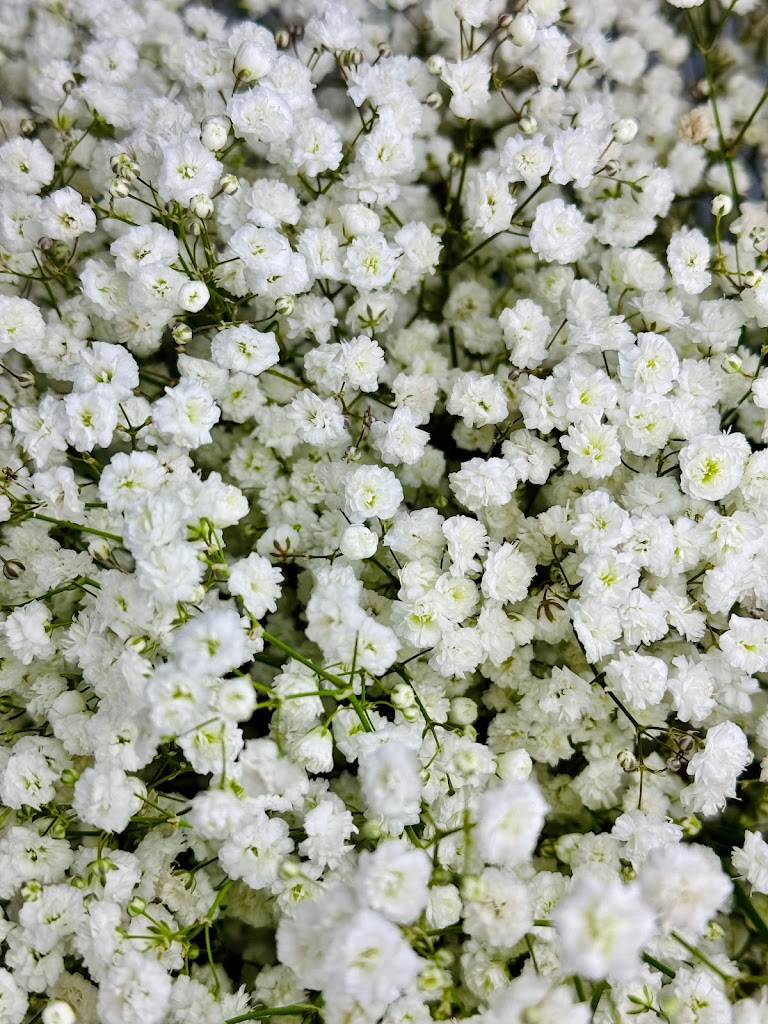 Life In Bloom