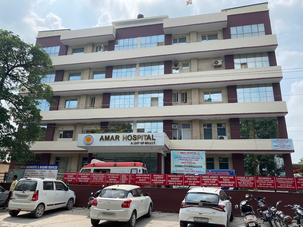 Dr. Dr Pankaj Gupta Best Heart Specialist In Tricity