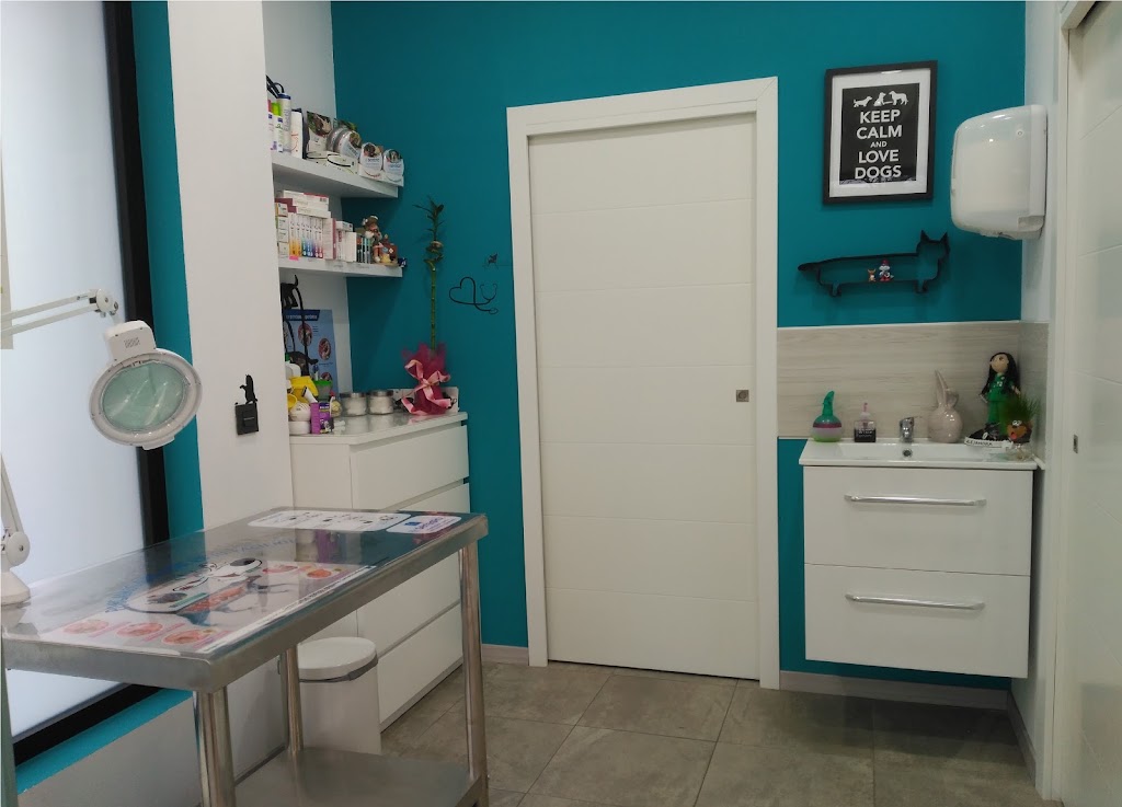 MAVET Centro Veterinario — Del propietario
