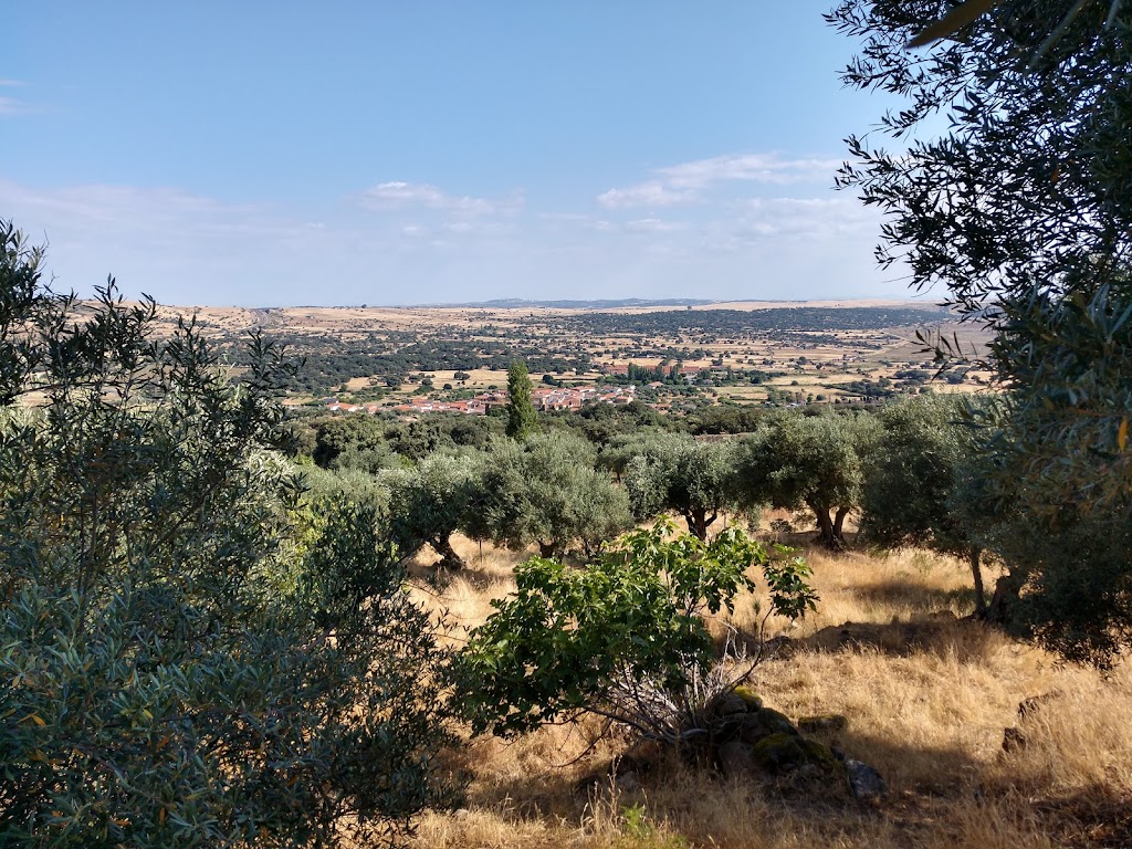 Ruta del risco Grande (Pico de San Gregorio) - Inicio de ruta