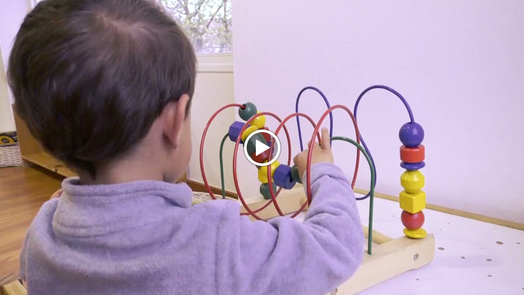 ROOTER SCHOOL, Escuela Montessori Bilingue — Del propietario