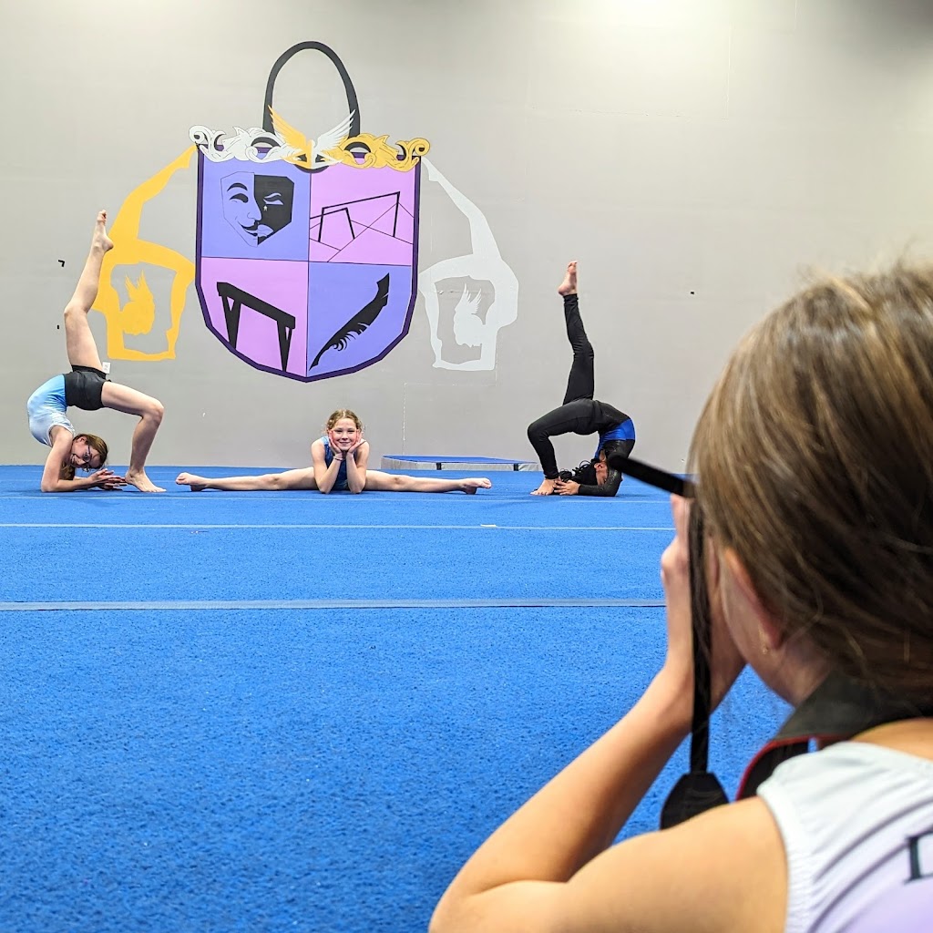  Dreamflight Theatrical Gymnastics, Inc.