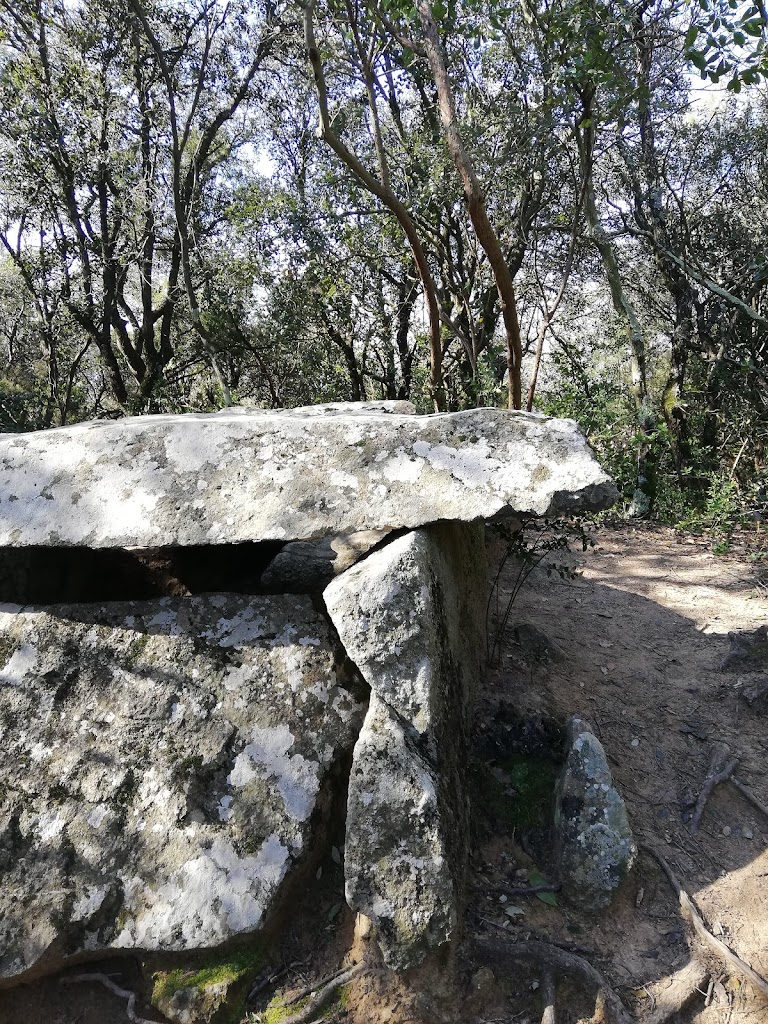 Poblat iberic de Castellruf