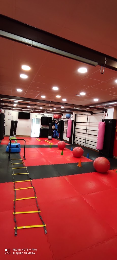 Dojo Gaman — Ejercicio fisico