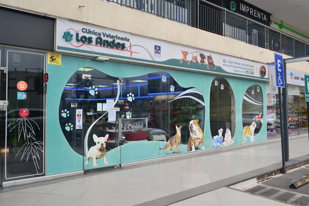 Clínica Veterinaria Los Andes Sucursal San Carlos de Apoquindo en Las Condes