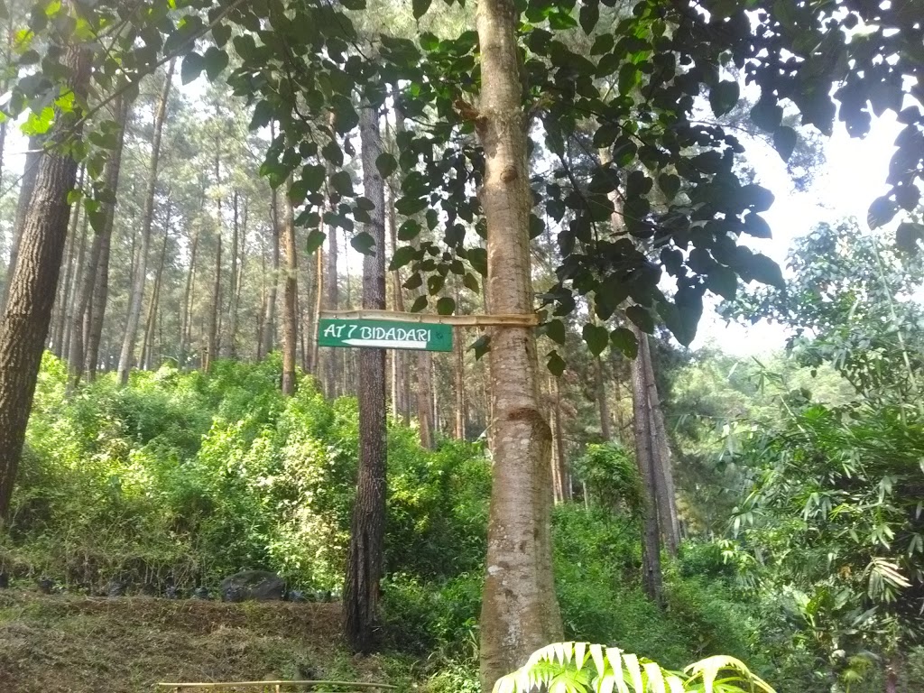 Camping Ground Coban Bidadari