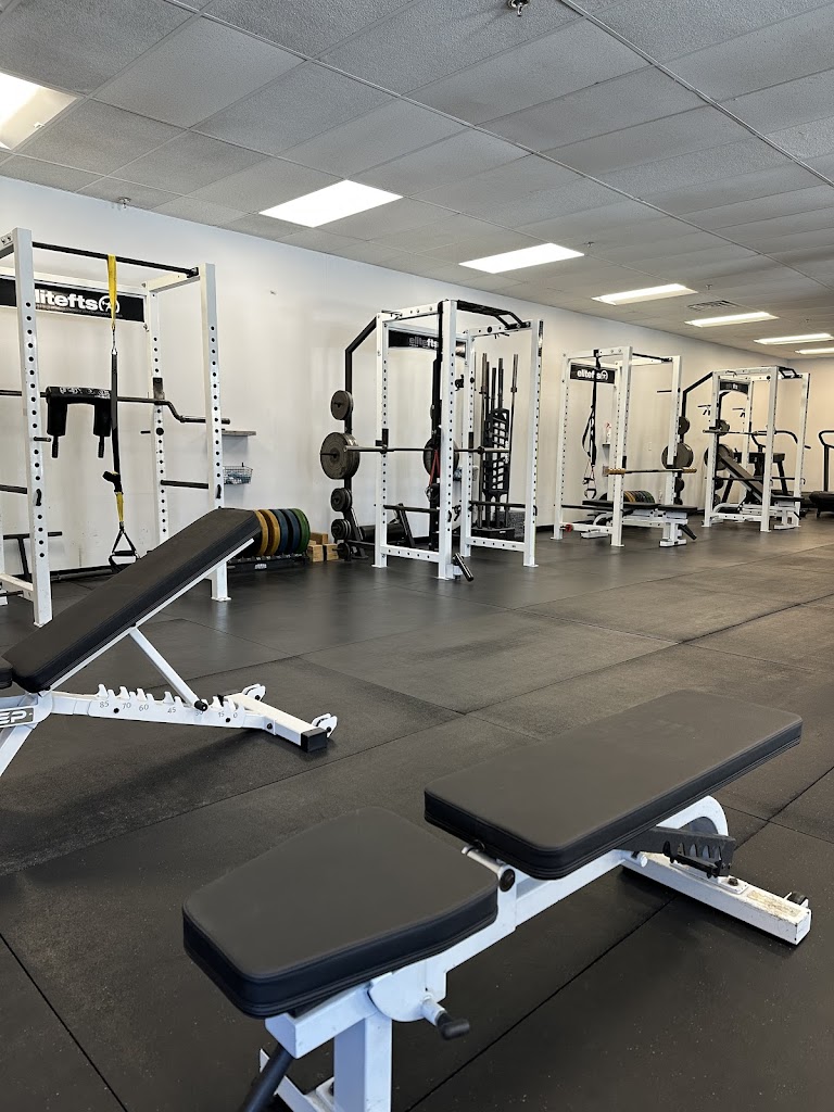  Veritas Performance Training