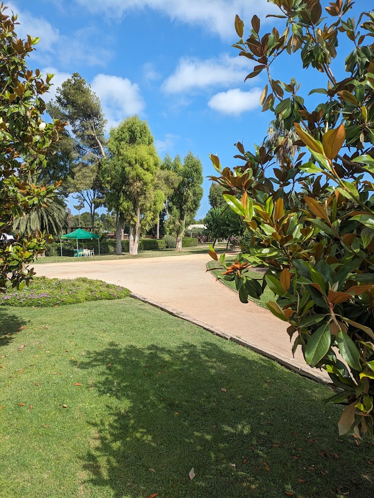 Piscina Sanchez-Casal