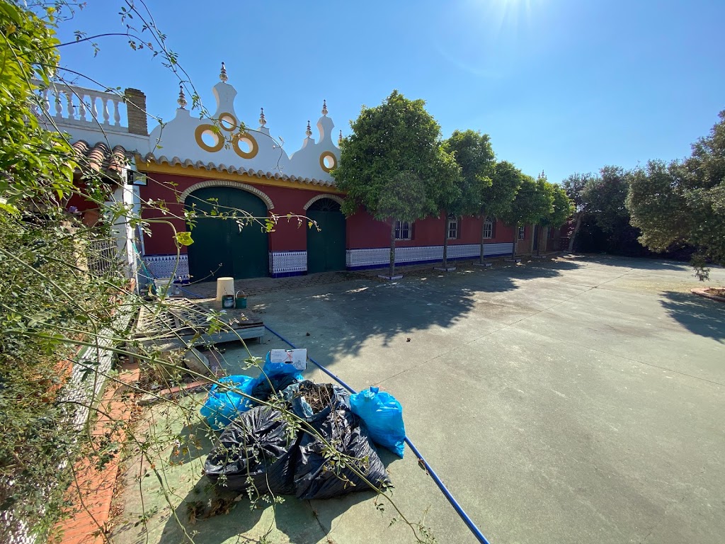 El Rincon Del Olivar