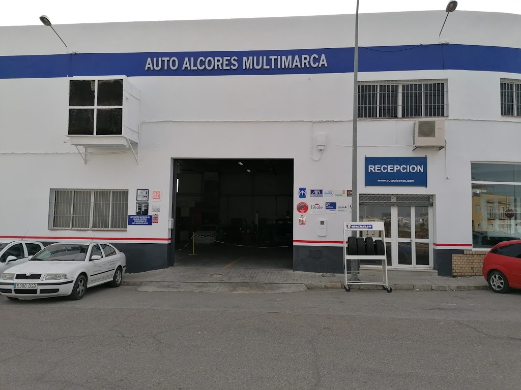 AUTO ALCORES MULTIMARCA S.L.
