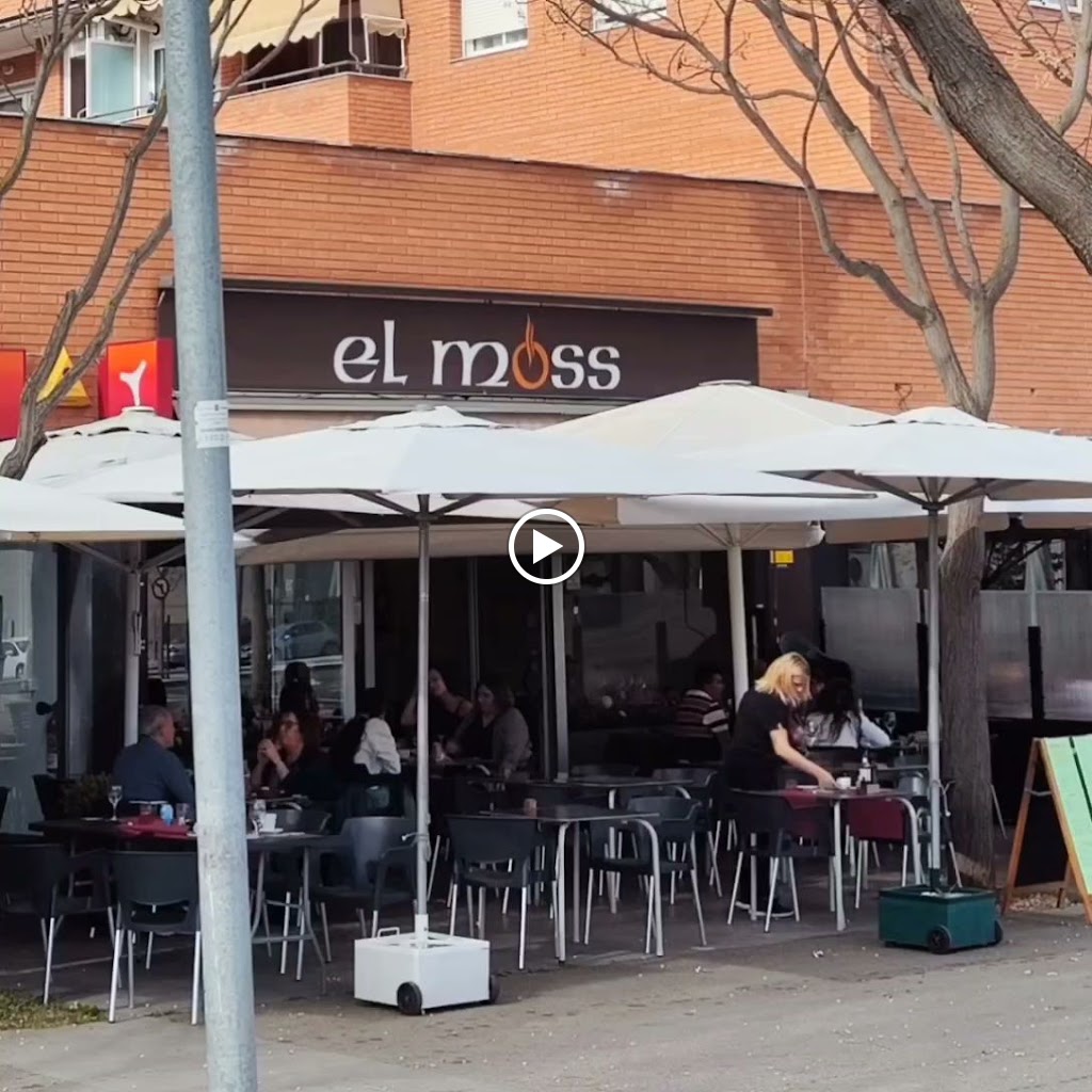 El Moss — Videos
