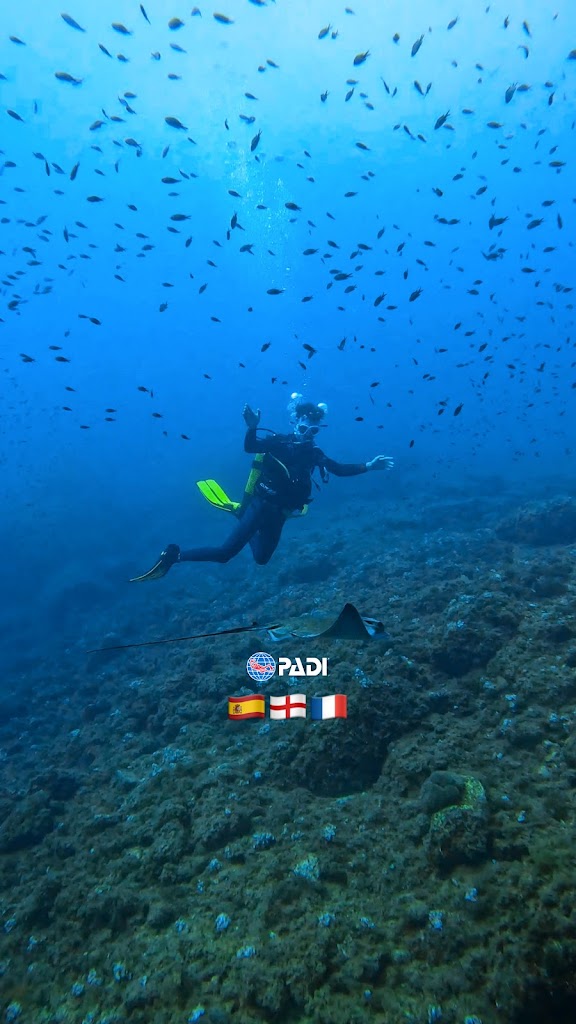 Snorkeling and Diving El Campello