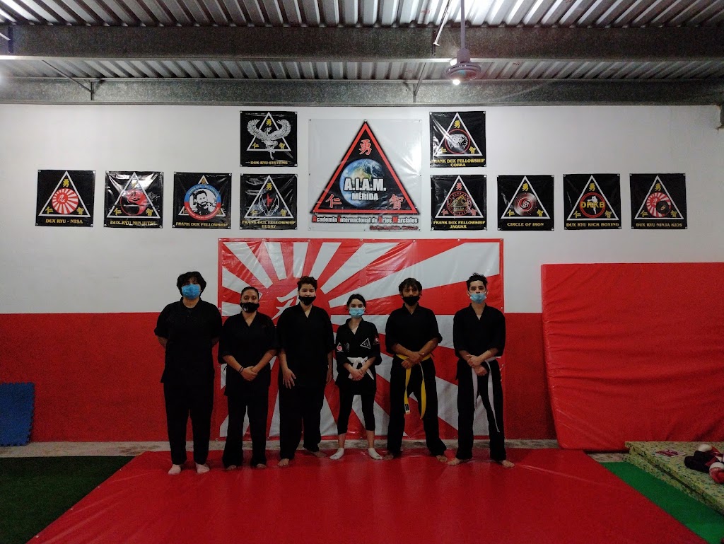 AIAM Merida, Academia Internacional de Artes Marciales — Comunidad