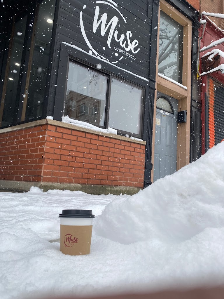 Photo of Muse Coffee Studio