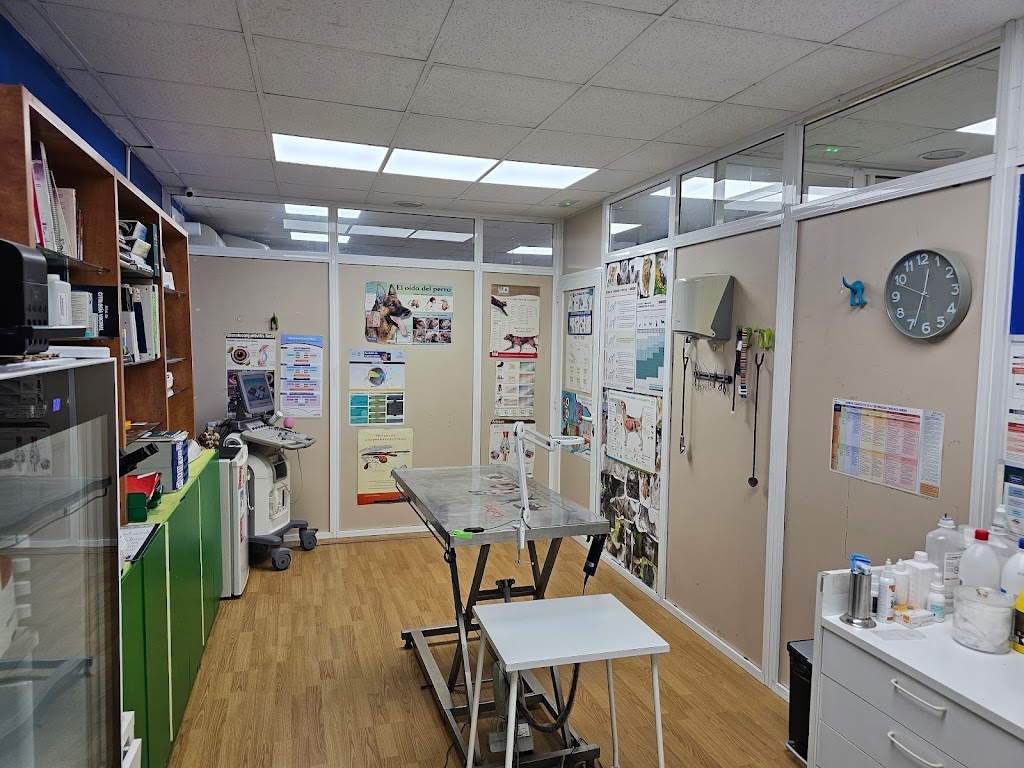 CLINICA VETERINARIA LA FLORIDA 24HORAS DE LUNES A SABADO CONCERTADO — Del propietario