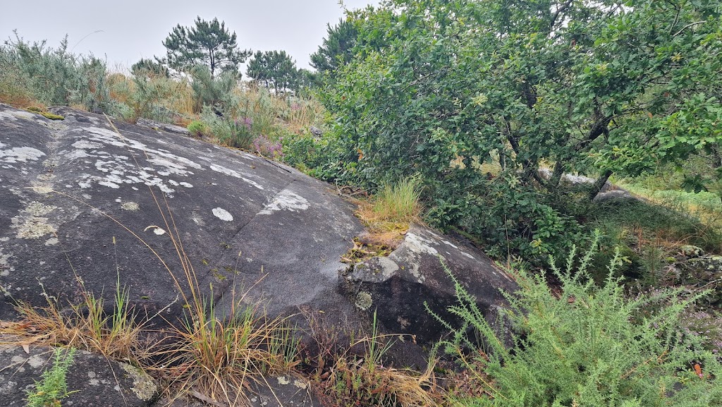 Petroglifos dos Mouchos