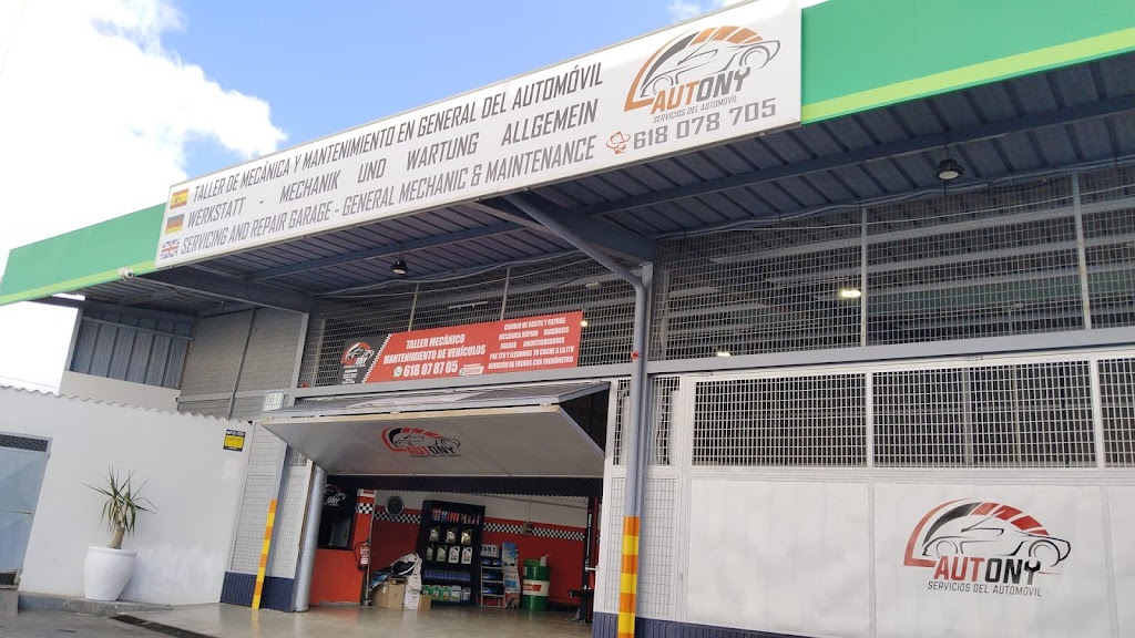 Autony Servicios Del Automovil